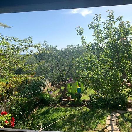 Apartman Dalija فينكوران المظهر الخارجي الصورة