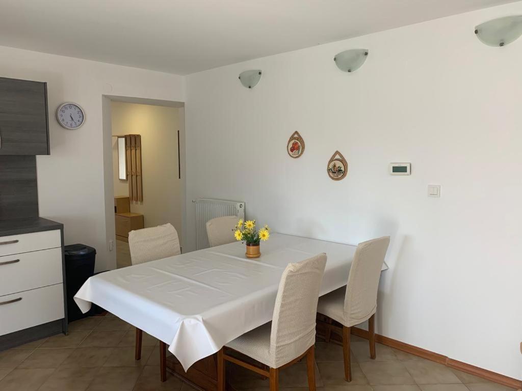 Apartman Dalija فينكوران المظهر الخارجي الصورة